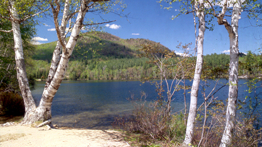 hubbardbrook