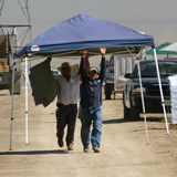 California farmworkers set up a shade tent during a 2009 grape harvest.