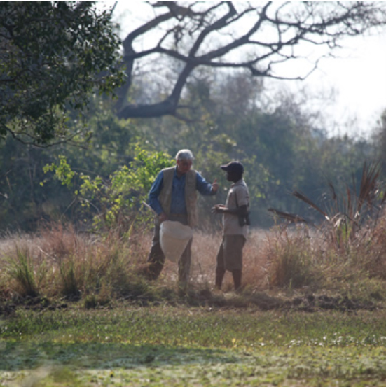 Top: Wilson and his regular collecting companion, Tonga Torcida, in Gorongosa National Park, in Mozambique. PHOTO: Jay Vavra, courtesy of the E. O. Wilson Biodiversity Foundation