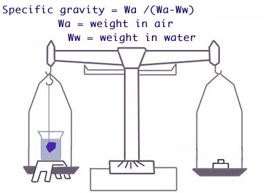 Weighing for specific gravity