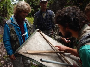 Rosie Gillespie, Darko Cotoras, and Dan Gruner examine arthropods collected on a beat sheet.