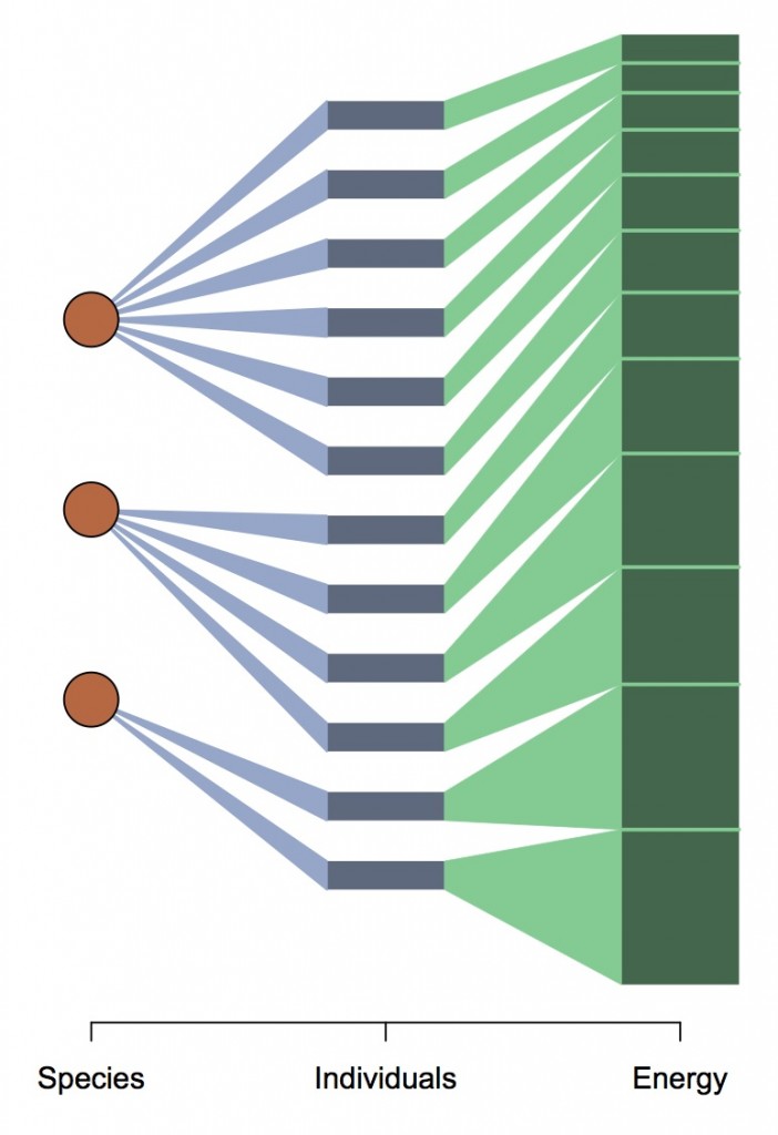 fig_METE_explanation