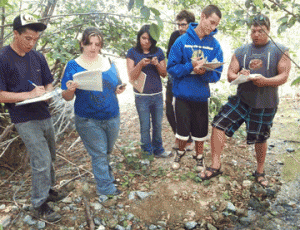 fieldworkers