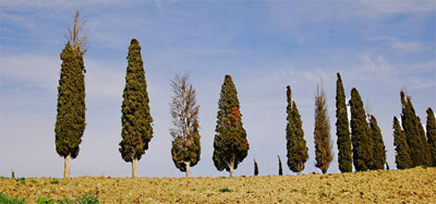 env1.jpg
