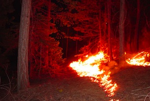 firefuel-burn305.jpg