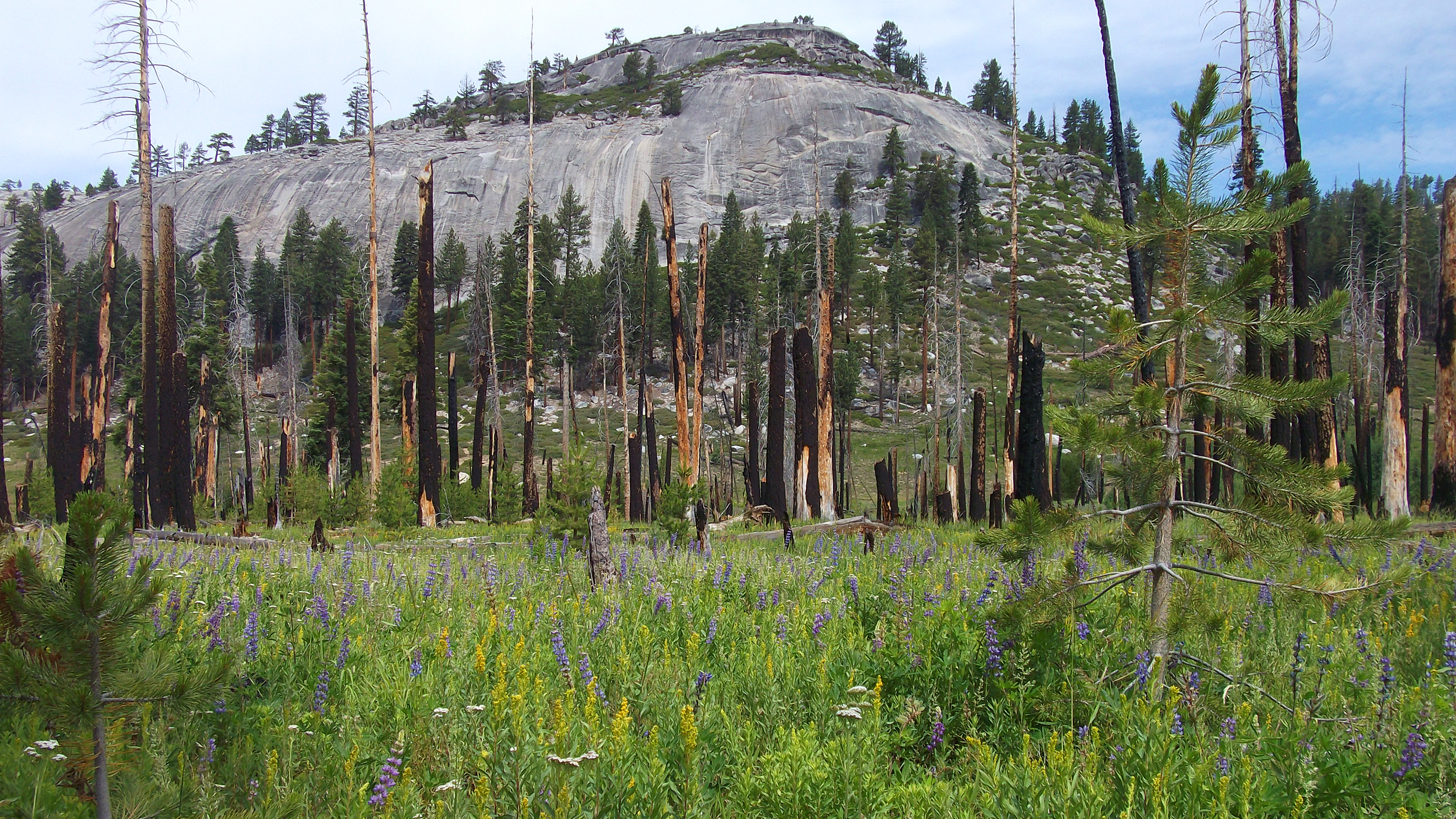 Image of the Illouette basin in Yosemite National Park.