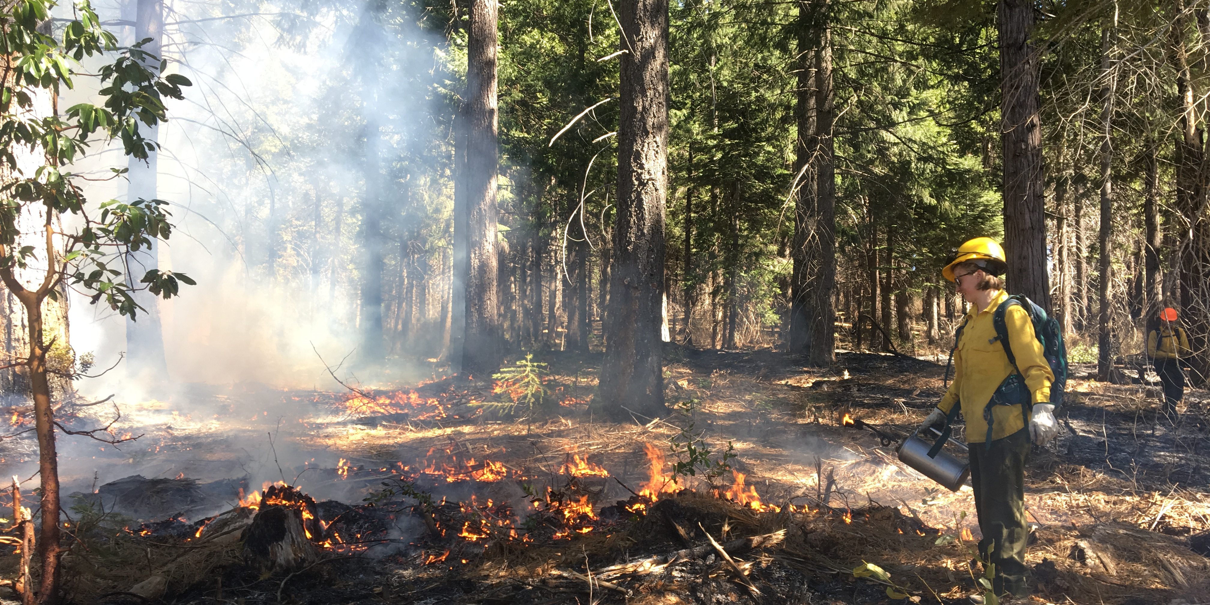 Stephens Lab Research Education In Wildland Fire Science At The