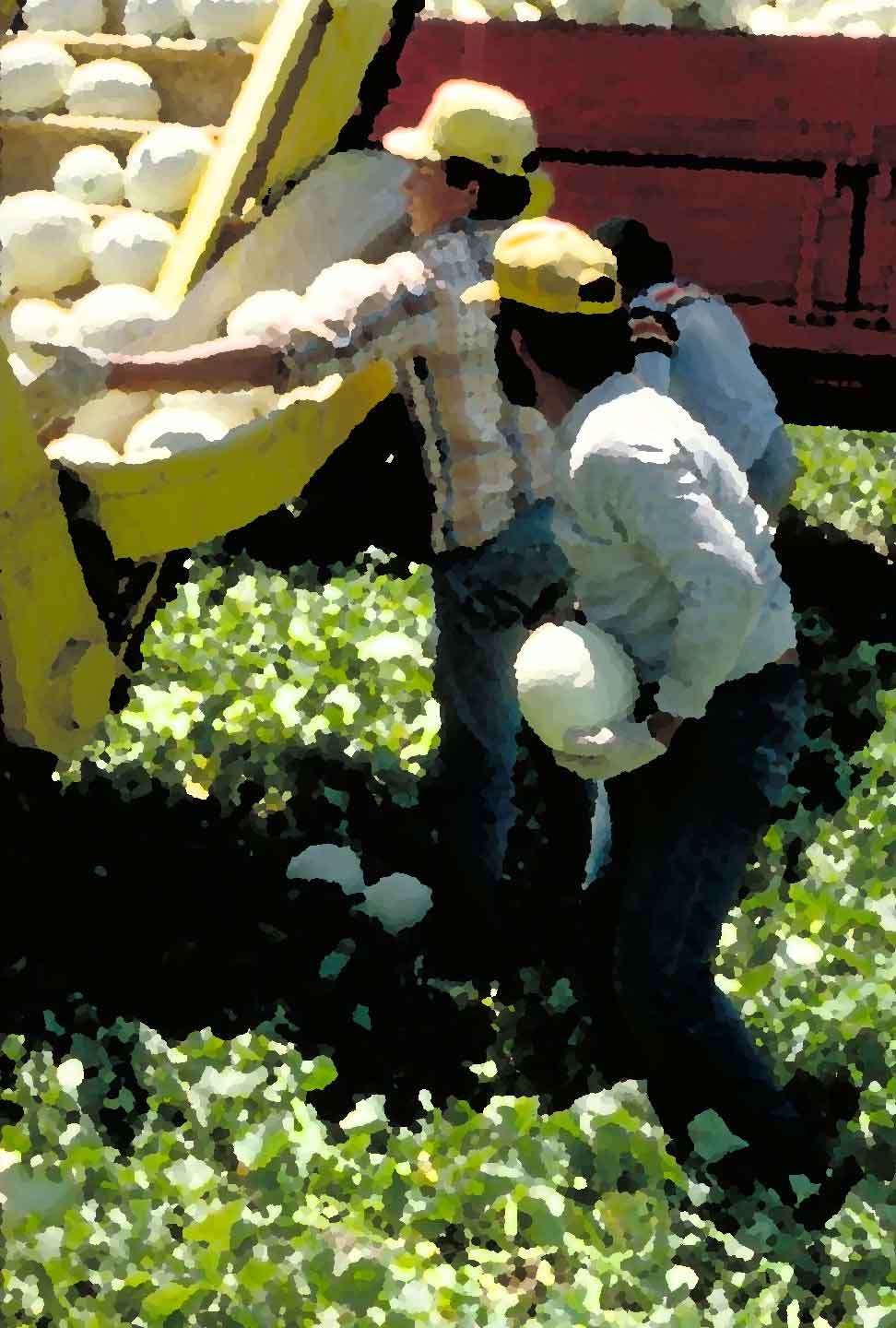 Agricultural Labor Management