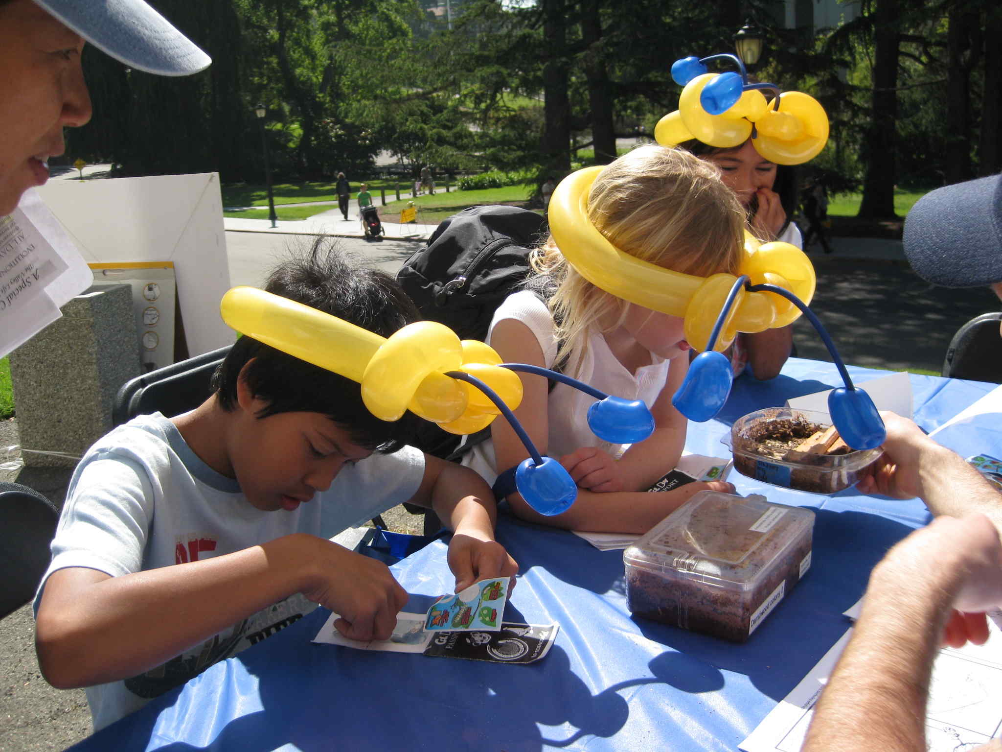 indentifying with insect hat