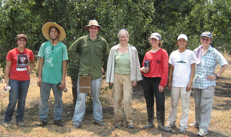 2008 Pear Sampling Crew