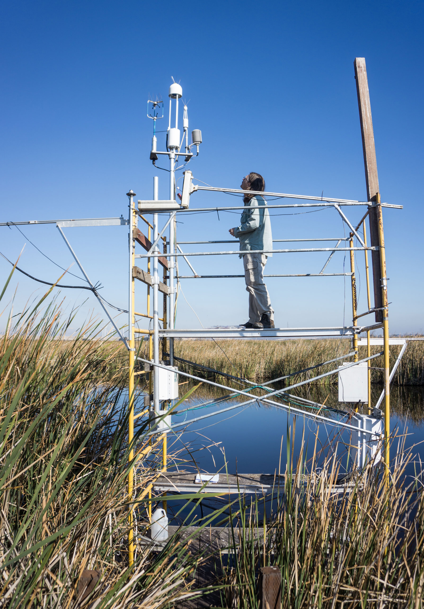 A scientific tower houses a gas analyzer.