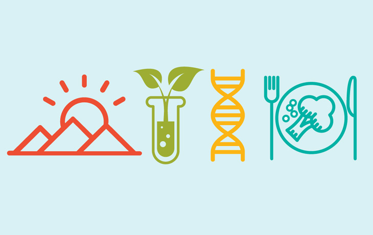 Icon of mountain, plant, DNA, and a plate of food