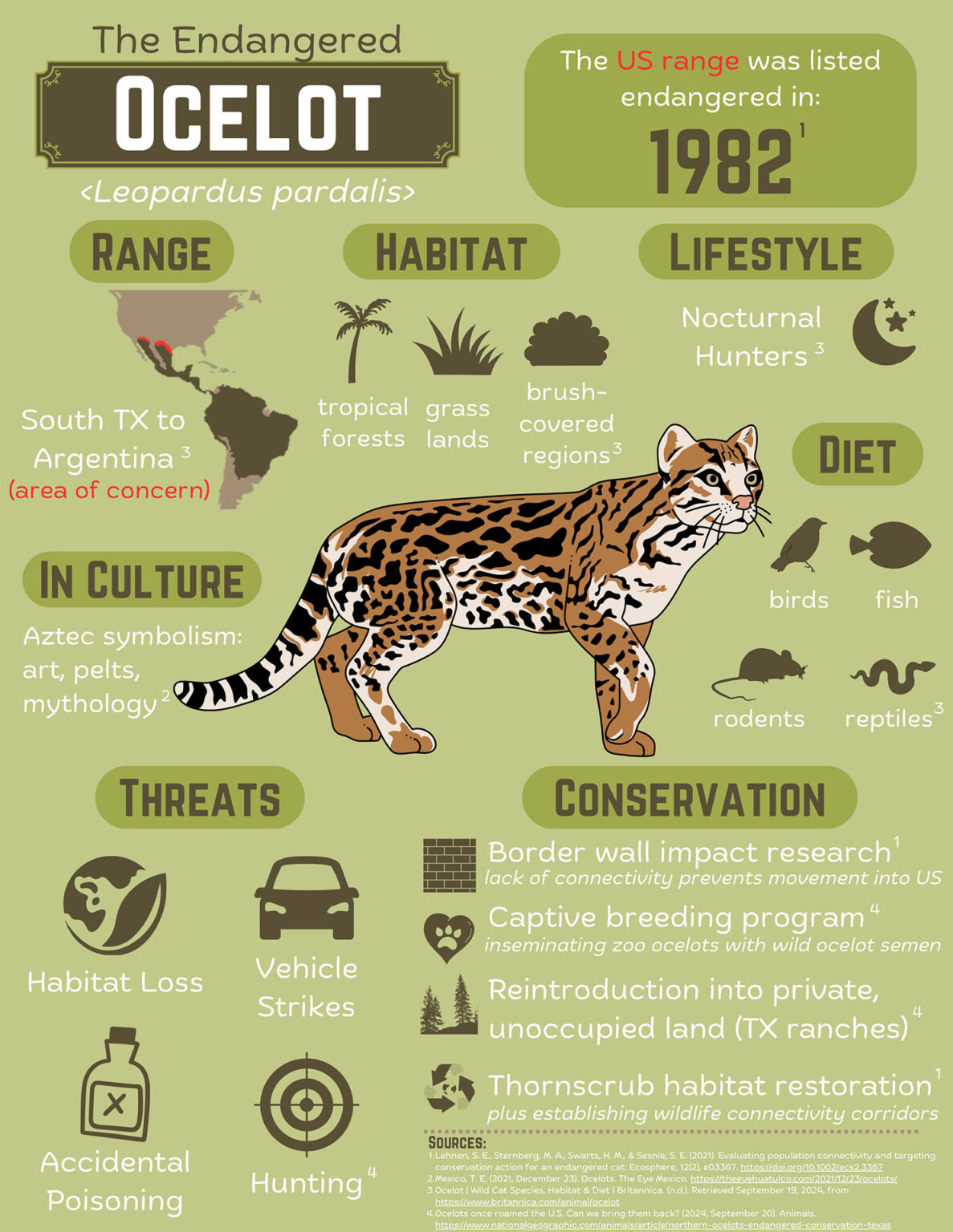 Kacey_Yoe_Ocelot_Infographic