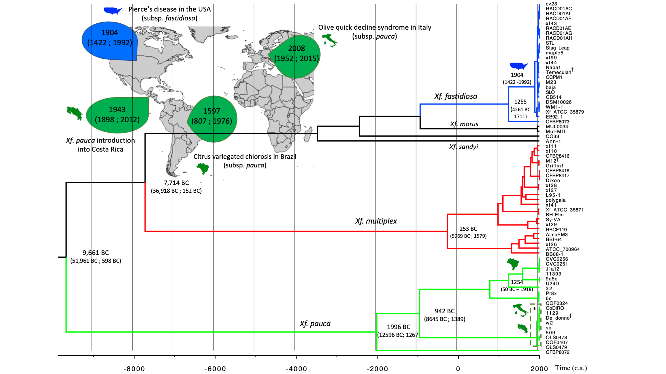 History of pathogen spread