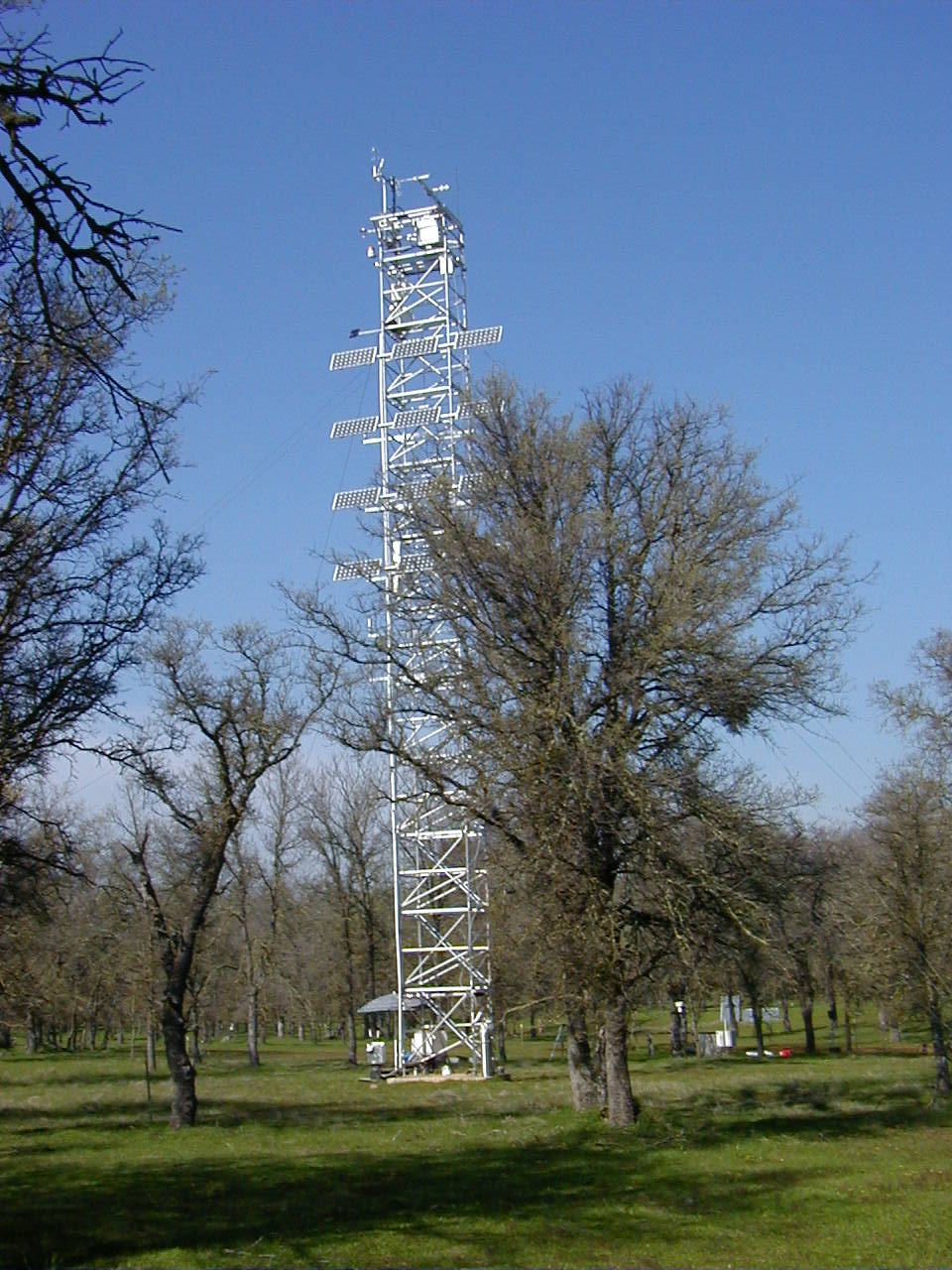 Tower March 2005