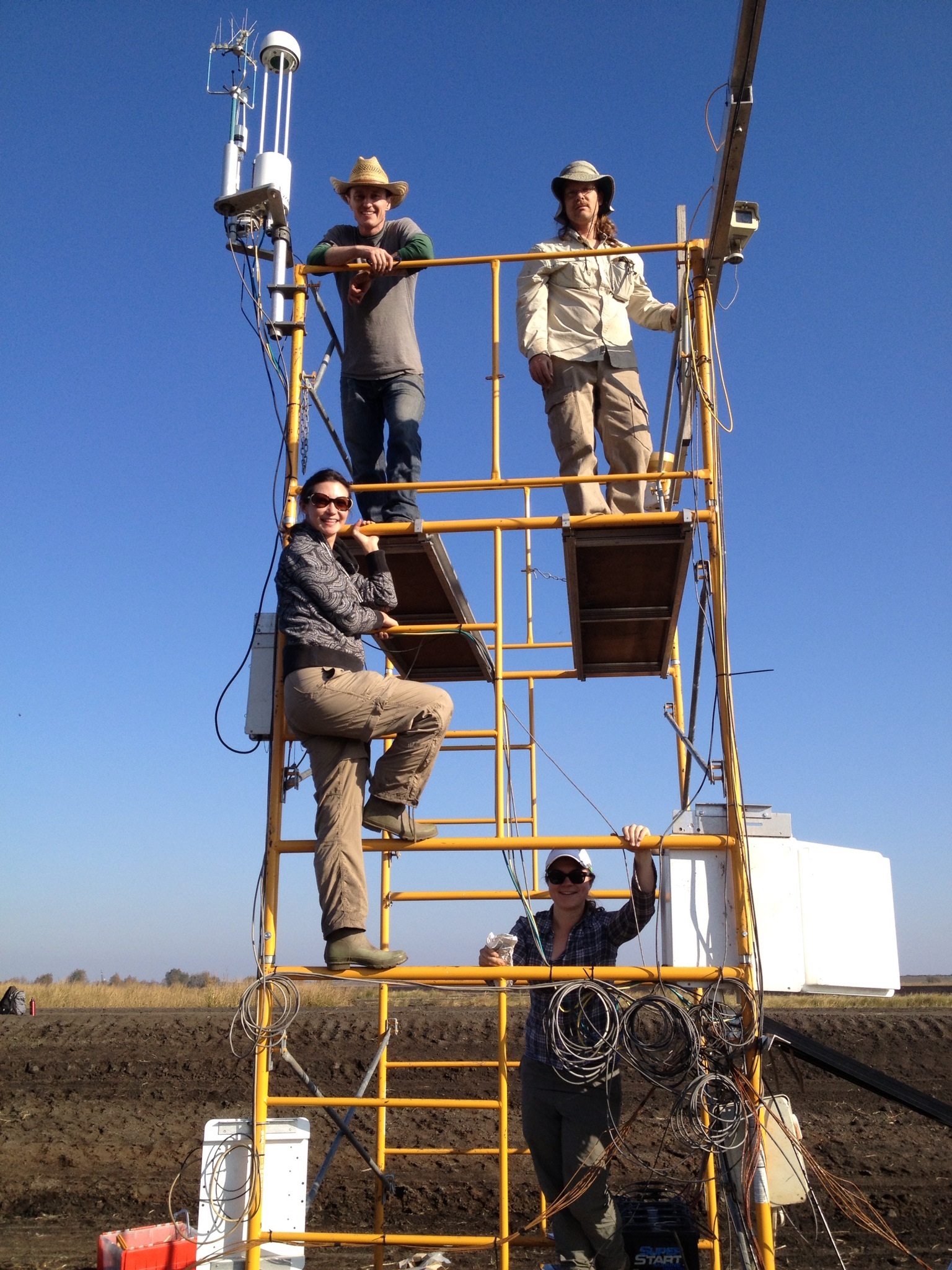 new flux tower twitchell wetland.jpg