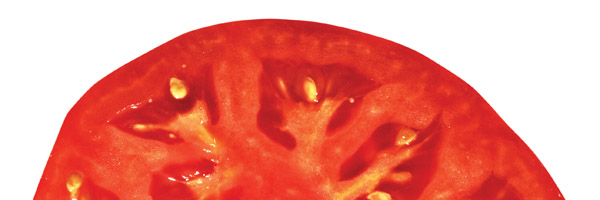 Cross-slice of a tomato