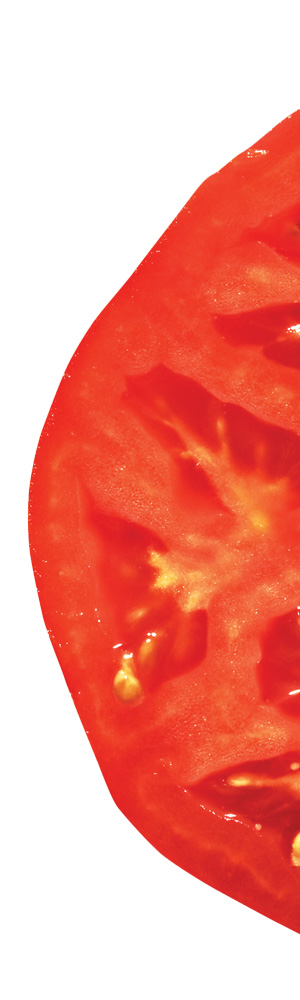 Cross-slice of a tomato