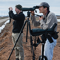 (from left): Economist Eric Hallstein, TNC ecologists Greg Golet and Mark Reynolds monitor rice fields near Olivehurst, Calif. PHOTO: Drew Kelly, courtesy of TNC