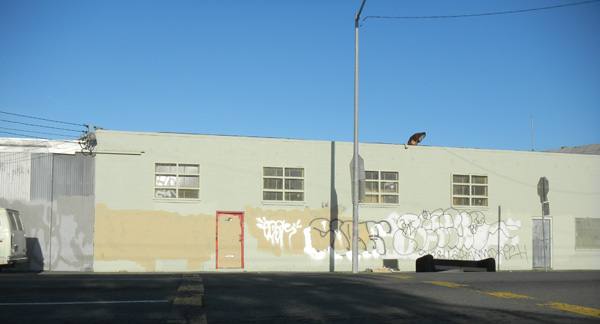 A block of Adeline Street near 53rd Street in Oakland is completely paved and has no trees or greenery.