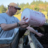 During the 2012 harvest, Philip Nelson of Silvertip Winery transfers pinot noir must from the fermentor into the press at the end of fermentation