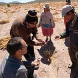 FAIR TRADE: Sergio Núñez de Arco ’95 (bottom left) was dubbed the “king of quinoa” by <cite>Time</cite> for his sustainably conceived growth of quinoa imports to the United States, mainly from his native Bolivia. Eugenio Choque (right) and his family, farmers from the Uyuni region, inspect the harvest with Miguel Choque, the manager of their cooperative. PHOTO: Vitaliy Prokopets