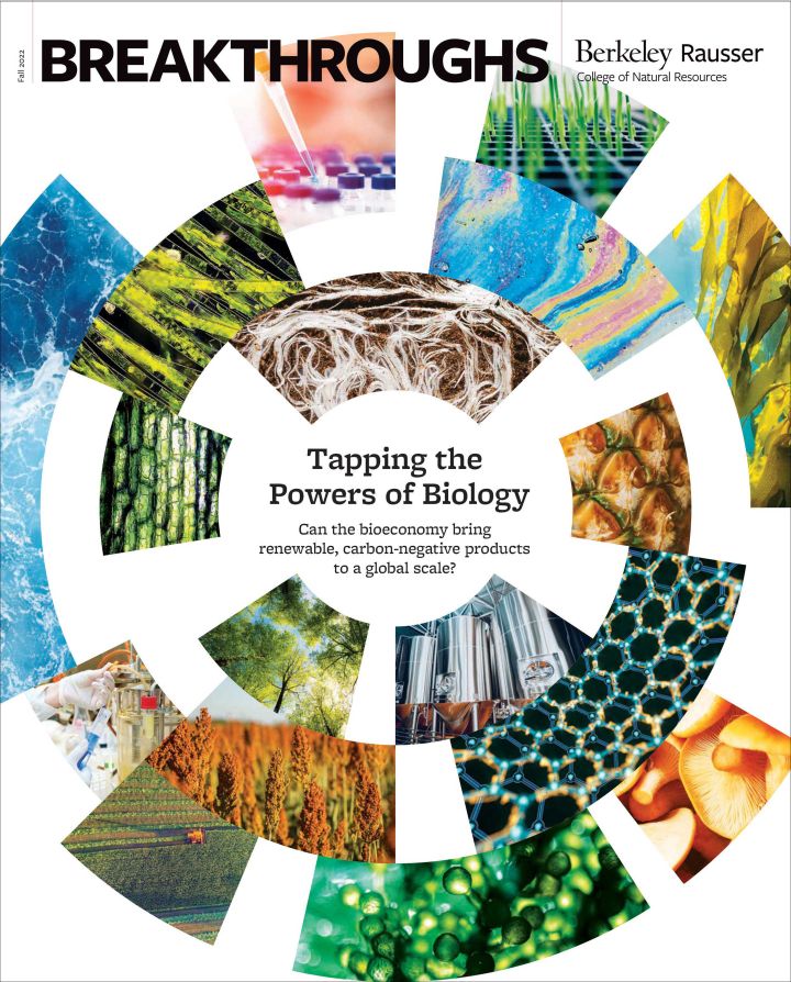 The cover of the fall 2022 Breakthroughs magazine. A collage of images related to the bioeconomy.