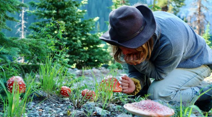 A person crouching down looking at colorful red mushrooms