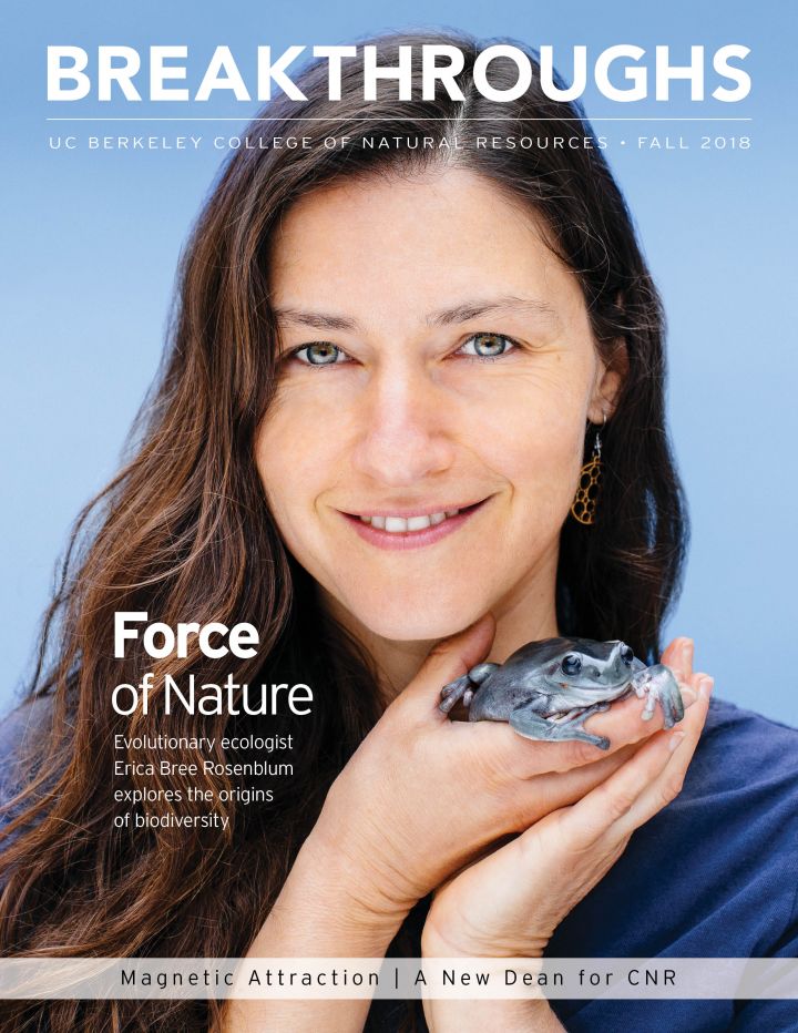 The cover of the fall 2018 Breakthroughs magazine
