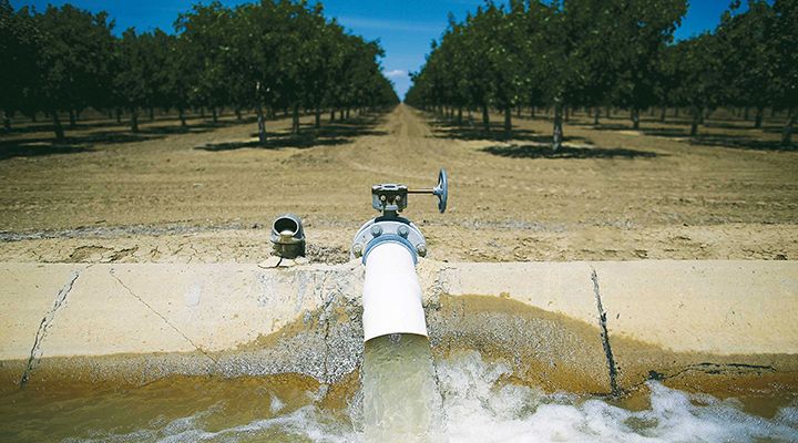 A pump and irrigation well with an orchard in the background.