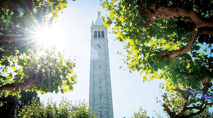 The UC Berkeley campanile with a burst of sunlight and tree branches