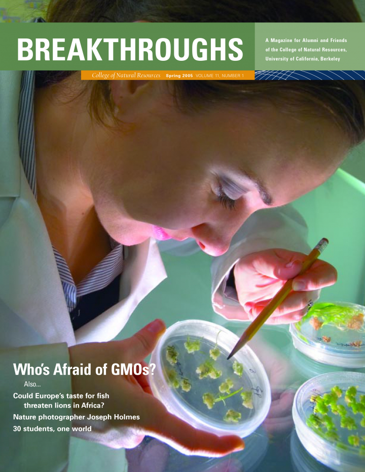 Cover of Breakthroughs Spring 2005, A scientist examining a petri dish