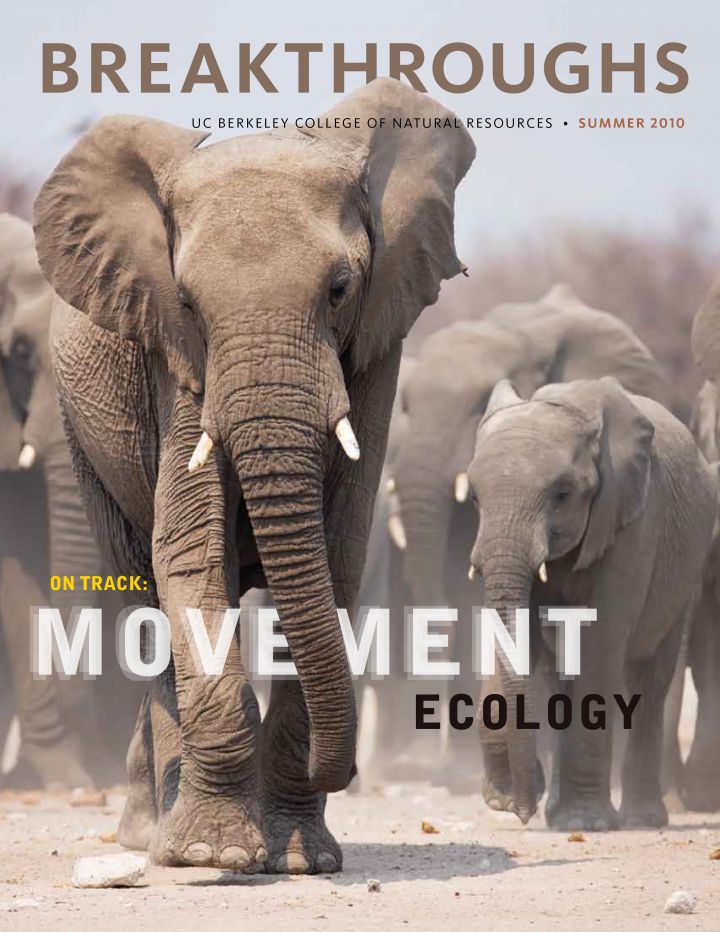 Cover of Breakthroughs Summer 2010 focuses on movement ecology