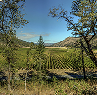 From the vineyard to the lab, Bill and Barbara Steele practice biodynamic techniques. PHOTO: Bryan Mikota