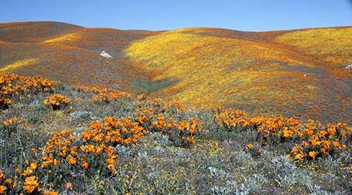 Rebooting California's Parks