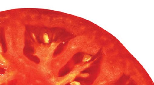 Cross-slice of a tomato