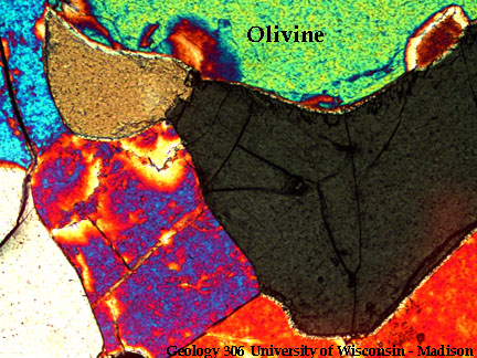 olivine thin section
