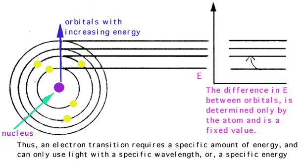 Which colors absorb more light energy? – Concord Consortium