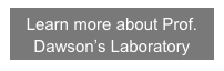 Learn more about Prof. Dawson’s Laboratory