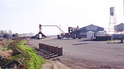 Cotton gin (background) and bales (foreground)