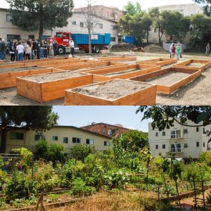 LA Community Garden Council