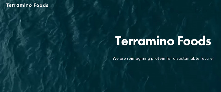 Hungry for Change: My Experience at a Mission-Driven Startup Company Business Development Internship at Terramino Foods