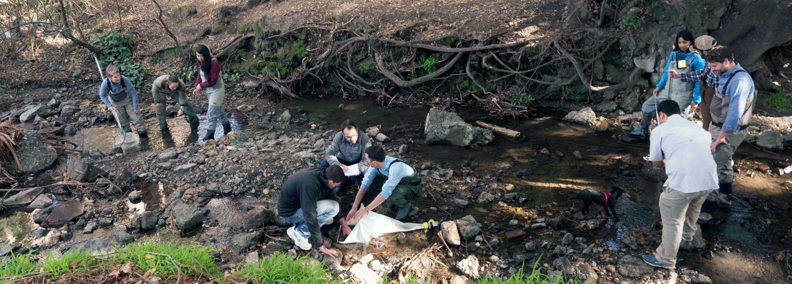 researchers working in a creek