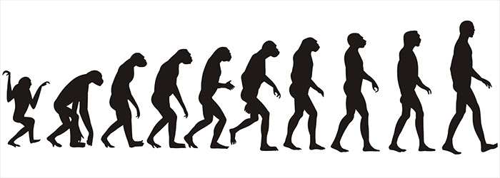 The Darwin-Wallace Theory of Evolution