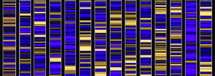 Apparently, 1 in 5 genetics papers contain errors because of Excel