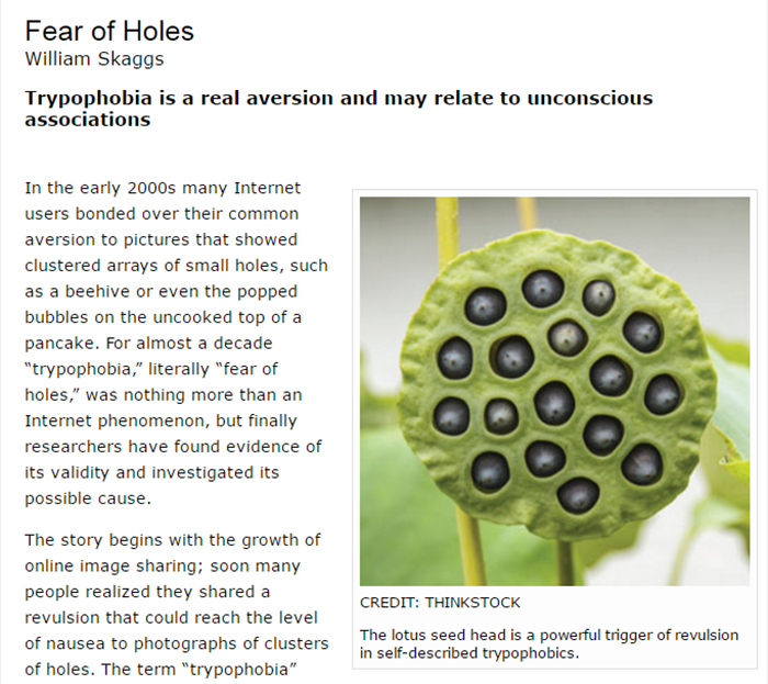 The Science of Trypophobia: a Fear of Holes
