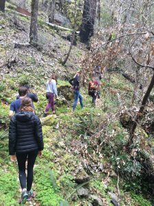 6 people hike up wooded hillside with backs to camera