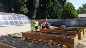 Greenhouse at left, four large raised garden beds filled with soil and small plant starts. Two young men and a woman stand between the raised beds.