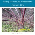 Image of grafted tree linked to February 2016 newsletter