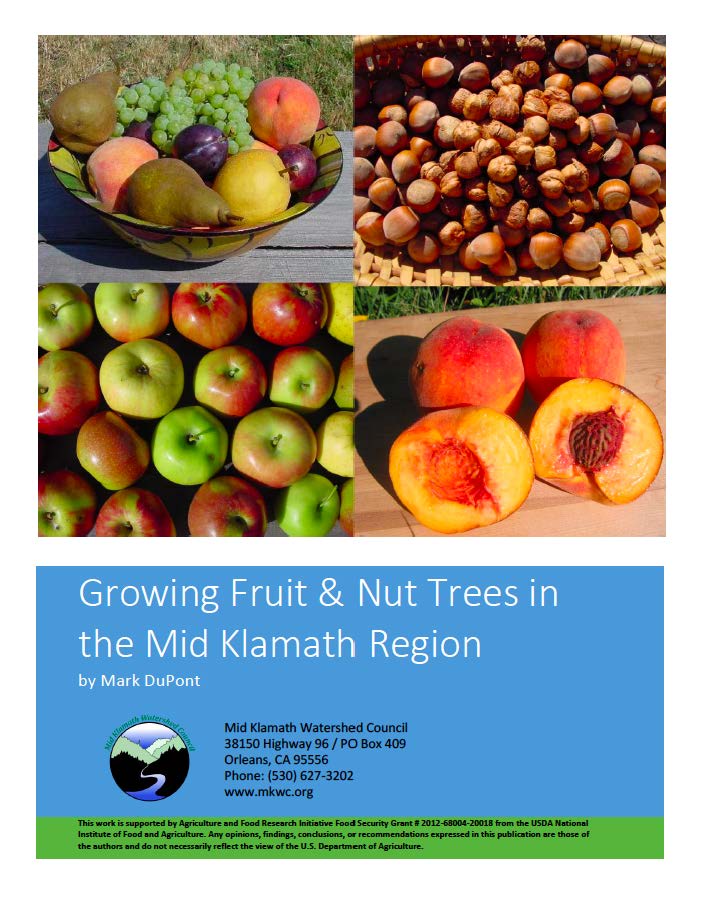 Cover images of apples, peaches, hazelnuts, and fruit plate above title of manual.